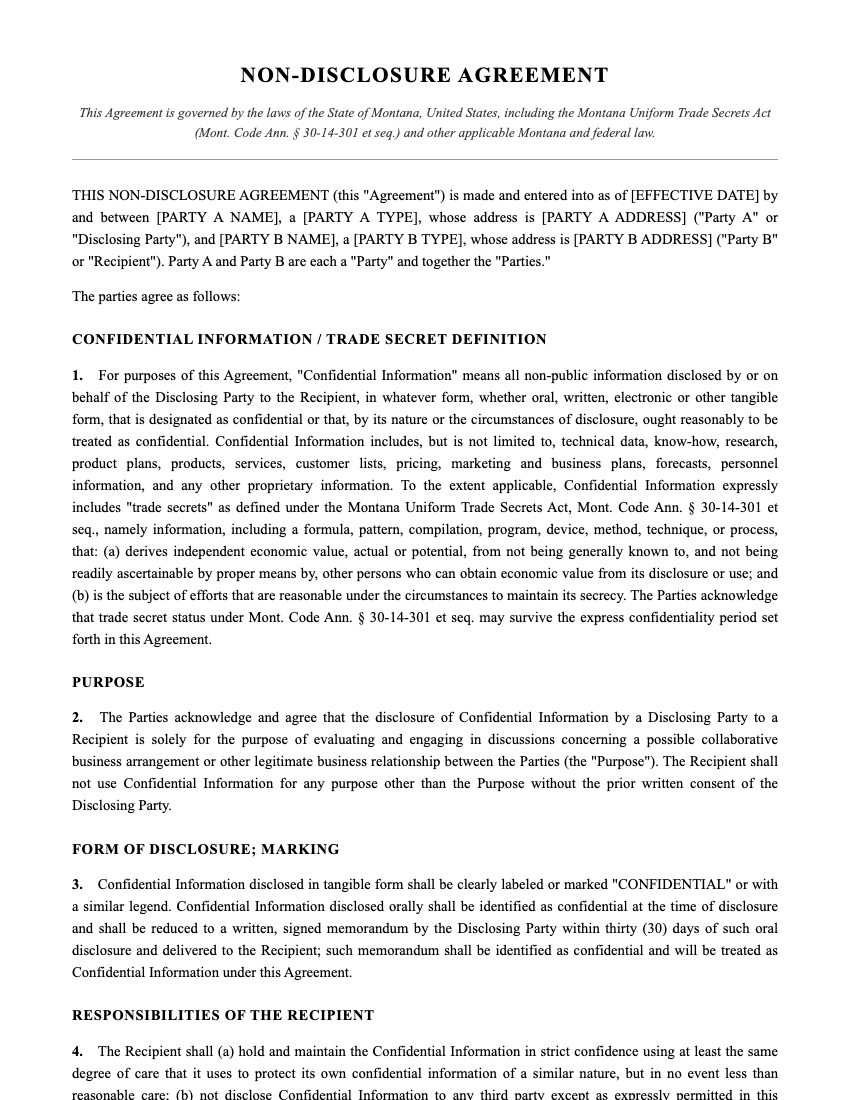 NDA Template Preview
